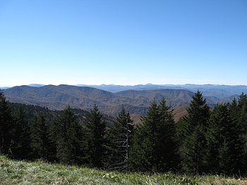 Nature, Trees, Sky, Mountains, Forest HD wallpaper