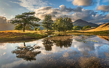 Lake in England, England, reflection, trees, clouds, calm, lake HD wallpaper