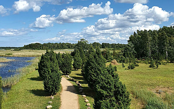 Road to Lake, path, trees, clouds, fields, Latvia, road, lake HD wallpaper