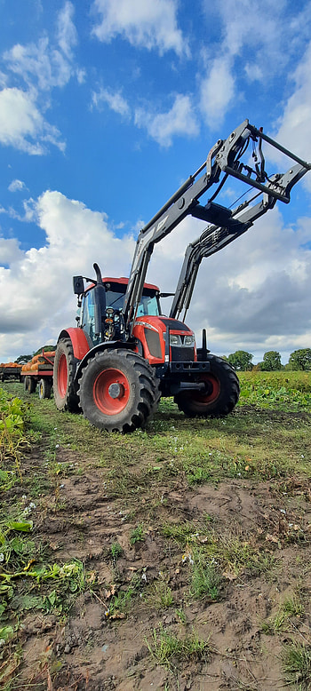 Zetor 140 cl, cloud, sky, Tractor HD phone wallpaper