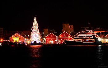 Holidays, Houses, New Year, Night, Fir-Trees HD wallpaper