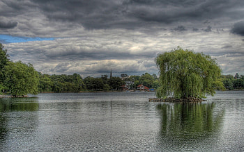 Nature, Trees, Sky, Clouds, Shore, Bank, Willow HD wallpaper
