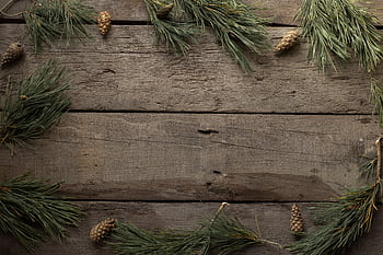 Festive pine branches and cones creatively arranged on rustic wooden boards, perfect for holiday themes. HD wallpaper
