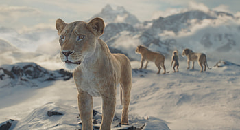 of Mufasa: The Lion King's Majestic Journey, movie, Mufasa: The Lion King HD wallpaper