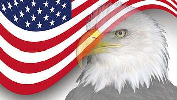 Eagle and US Flag, eagle, USA, patriotic, 4th of July, flag, red white and blue, collage, stars and stripes, Independence Day, Flag Day, patriot HD wallpaper