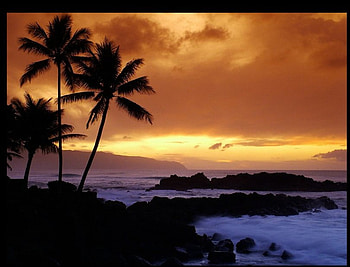 Ocean Sunset, nature, ocean, beaches, sunset HD wallpaper