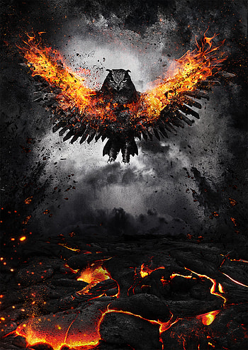 Art, Fire, Owl, Bird, Wings, Wave, Sweep HD phone wallpaper