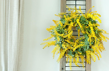 Flowers, Wall, Wreath, Mimosa HD wallpaper