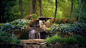 Springfield, Missouri, Close Memorial Park, creek, flowers, rocks, trees, cascade, usa HD wallpaper
