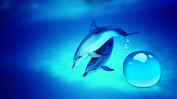 3d Live Backgrounds | , , background HD wallpaper