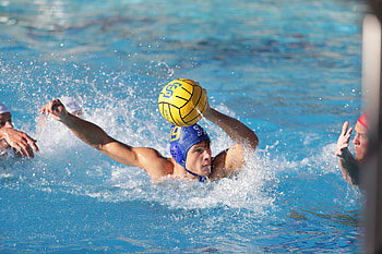 Men's water polo, Julian Fraser Memorial Tournament, SJSU Athletics HD wallpaper
