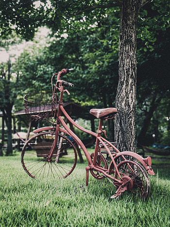 Miscellanea, Miscellaneous, Vintage, Garden, Decoration, Bicycle HD phone wallpaper