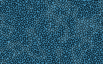 Patterns, Light, Leopard, Texture, Textures, Light Coloured, Skin HD wallpaper