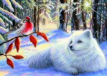 Winter Red, dog, winter, holidays, bird, winter holidays, paintings, love four seasons, animals, snow, xmas and new year, woodland HD wallpaper