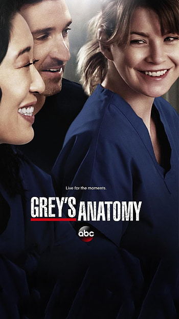 SBM Greys Anatomy, Greys Anatomy Season, Medical drama series, Intriguing characters HD phone wallpaper