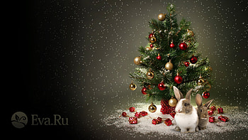 Holidays, New Year, Fir-Trees, Christmas, Xmas HD wallpaper