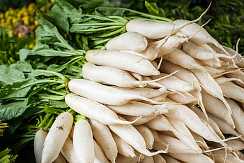 Daikon radish, Food HD wallpaper