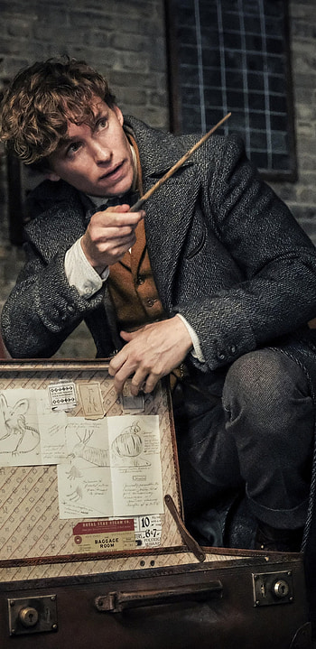 Eddie Redmayne, Newt Scamander, Fantastic Beasts, Crimes of Grindlewald HD phone wallpaper