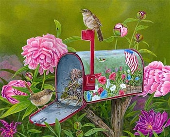wren mailbox, wren, songbird, flowers, flag, blooms, mailbox HD wallpaper