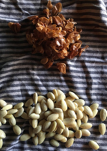 DIY marcona almonds, Homemade snack, Nutty goodness, Irresistible crunch HD phone wallpaper