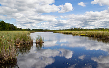 River Reflection, clouds, river, water, reflection HD wallpaper