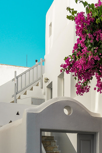 House, facade, white HD phone wallpaper