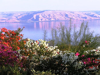 Kinneret Lake, Israel, plants, peaks, colors, israel, middle east, reflections, fog, foggy, trees, mountains, mirror, white, mesa, kinneret, landscape, environment, leaves, green, nature, leaf, mounts, blue, colorful, natural, graphy, pines, land, day, , water, reflected, lagoons, orange, lakes, pink, cliffs, red, hop, sky, flowers, rivers HD wallpaper