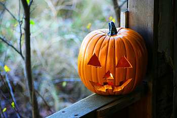 Jack O Lantern, halloween, window, graphy, candle, pumpkin, lantern HD wallpaper