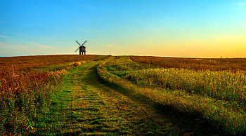 Nature, Sunset, Grass, Summer, Horizon, Field, Mill HD wallpaper