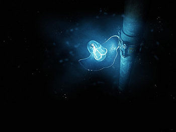 Deep water, deep, water HD wallpaper