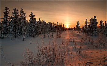 Nature, Winter, Sunset, Grass, Snow HD wallpaper