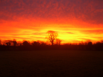 winter sunrise, nature HD wallpaper
