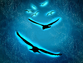 Birds Of Light, night, stars, birds, 3d HD wallpaper