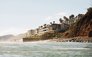 Houses by the beach, Palm trees, Malibu beach, Serene vibes HD wallpaper