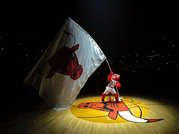 Sports, Basketball, Symbol, Flag, Fan, Emblem, Chicago Bulls HD wallpaper