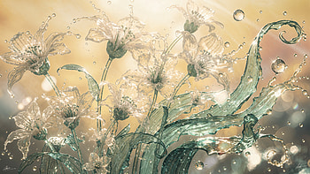Sunlit Summer Bloom — HD wallpaper