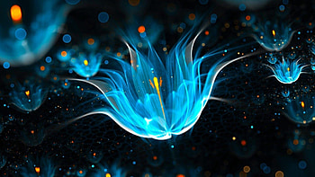 Flowers, Glow in the Dark HD wallpaper