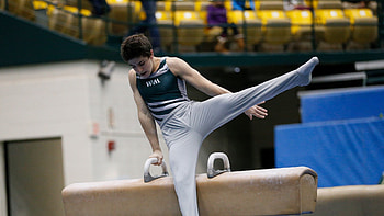 Jacopo Gliozzi, Pommel Horse (Gymnastics) HD wallpaper
