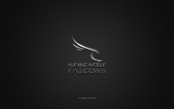 Newcastle Falcons, English rugby club, Premiership Rugby, silver logo, gray carbon fiber background, rugby, Newcastle, England, Newcastle Falcons logo HD wallpaper