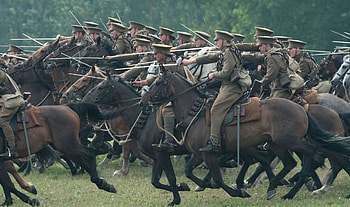 War Horse, Striking warhorse, HQ , Emotional journey HD wallpaper