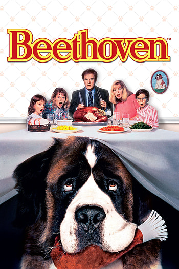 Beethoven (Movie), Movies Anywhere, Classic family film, Beloved canine companion HD phone wallpaper