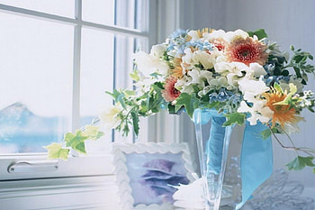 Flowers, blue, bouquet, morning, window HD wallpaper