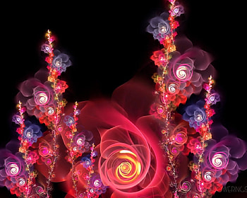 Flower, purple, pink, white, orange HD wallpaper