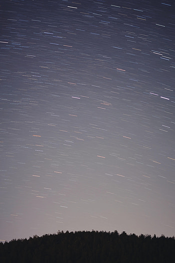 Trees, Stars, Dark, Movement, Traffic, Starry Sky HD phone wallpaper