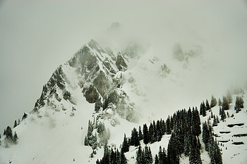 Nature, mountain, winter, trees, forest HD wallpaper