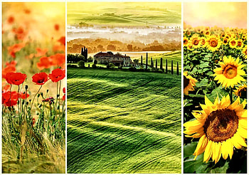 Sunny Tuscanny C, architecture, art, landscape, France, Tuscanny, beautiful, cityscape, illustration, houses, artwork, scenery, wide screen, painting, sunflowers, field, nature HD wallpaper