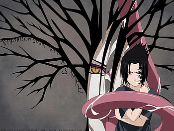 42, zangetsu HD wallpaper