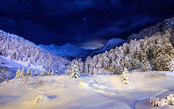 Winter, Nature, Trees, Stars, Night, Snow, Conifers, Coniferous, Shine, Light, Cover HD wallpaper