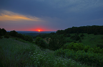 Grass, Nature, Flowers, Trees, Sunset, Sun HD wallpaper