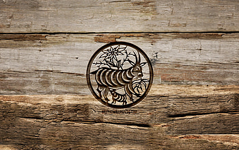 Goat zodiac sign, , chinese zodiac, carving signs, Chinese calendar, Goat zodiac, wooden backgrounds, Chinese Zodiac Signs, creative, Goat HD wallpaper